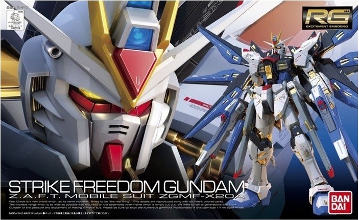 Strike Freedom Gundam RG  -  GUNDAM