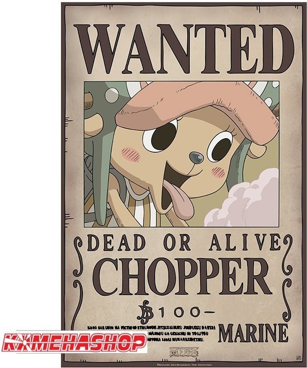 Affiche wanted Chopper - New world prime  -  ONE PIECE