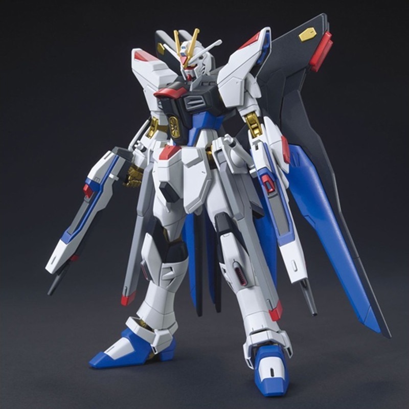 Gundam Strike Freedom HG  -  GUNDAM