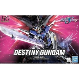Destiny Gundam HG  -  GUNDAM