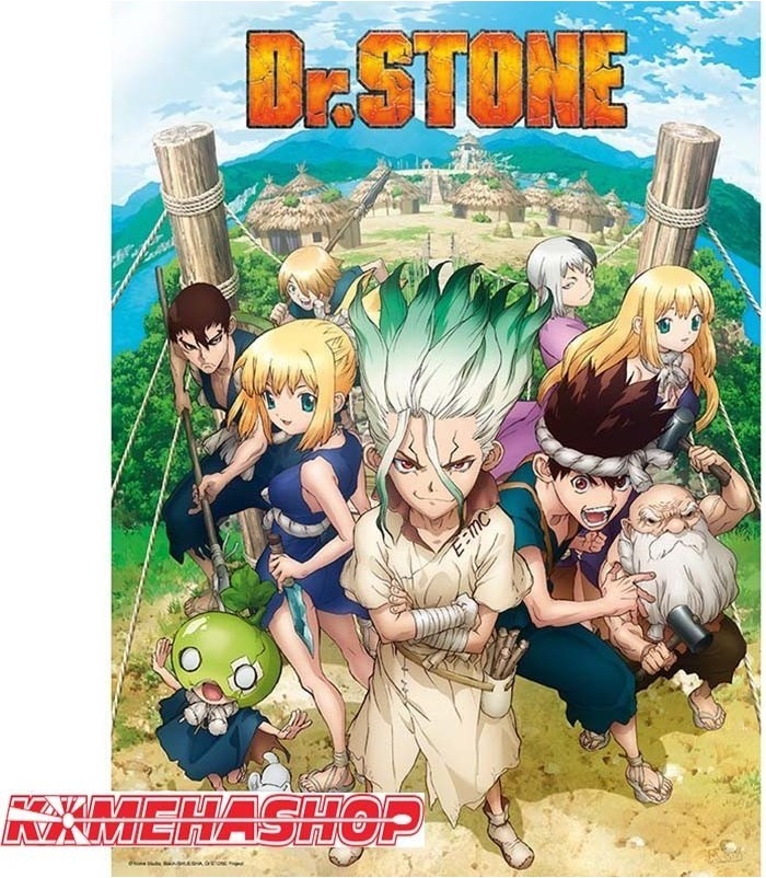 Poster Dr Stone  - POSTERS & AFFICHES