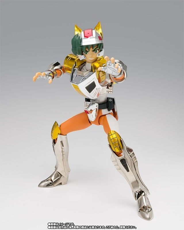 Saint Seiya - Myth Cloth Landcloth Daichi - Revival  -  SAINT SEIYA