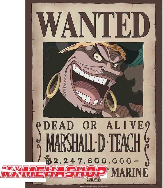 One Piece - Affiche Wanted Blackbeard Marshall.D.Teach  -  ONE PIECE