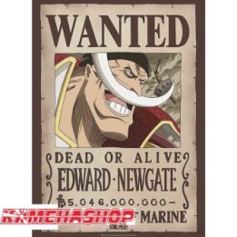 One Piece - Affiche Wanted Edward Newgate  -  ONE PIECE