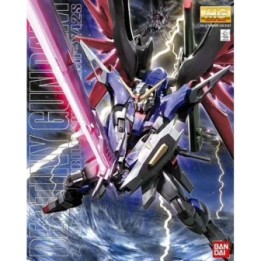 Destiny Gundam MG  -  GUNDAM