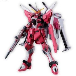 Gundam Infinite Justice Type 2 HG  -  GUNDAM